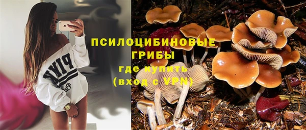 дурь Алзамай